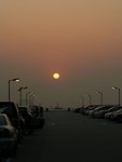 IMG_8101