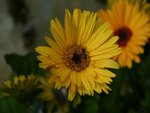 IMG_8107