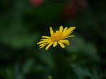 IMG_8110