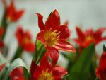 IMG_8117