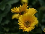 IMG_8120