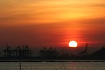 IMG_8225