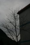 IMG_8557