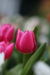 IMG_2044