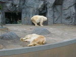IMG_3226