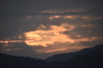 DSC_7356