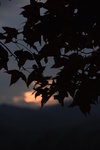 DSC_7360