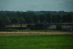 DSC_6065