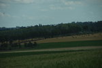 DSC_6071