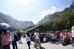 DSC_5004 - Copy