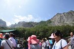 DSC_5005 - Copy