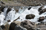 DSC_5200 (2)