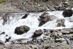DSC_5201 (2)