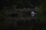 DSC_6754