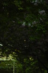 DSC_4472