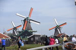 DSC_4582