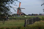 DSC_4602