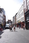 DSC_8186