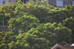 DSC_8187