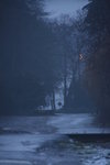 DSC_9920