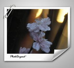 571