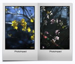 685