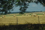 DSC_6206