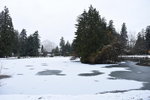 DSC_7559