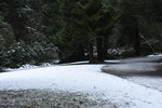 DSC_7581