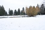DSC_7589