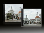 2006