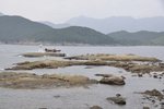 _DSC0139