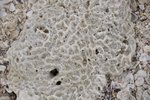 _DSC0149