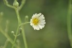 _DSC0152