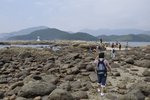 _DSC0155