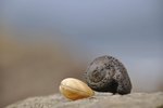 _DSC0159