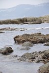 _DSC0166