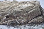 _DSC0167