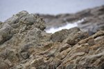 _DSC0168