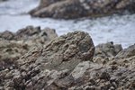 _DSC0169