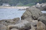 _DSC0172