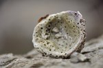 _DSC0187
