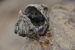 _DSC0205