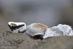_DSC0213