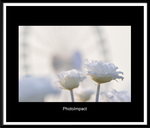 83