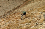 IMG_0185