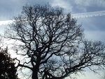 DSCF0607