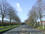 DSCF0903