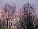 DSCF1150