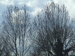 DSCF1398
